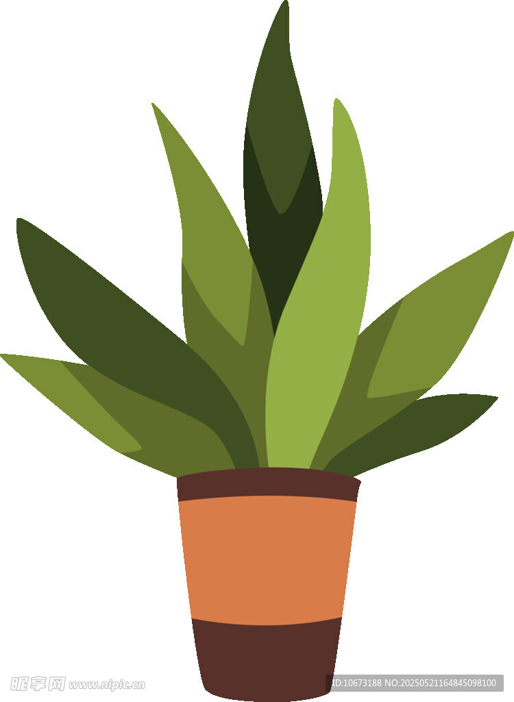 盆栽绿植插画