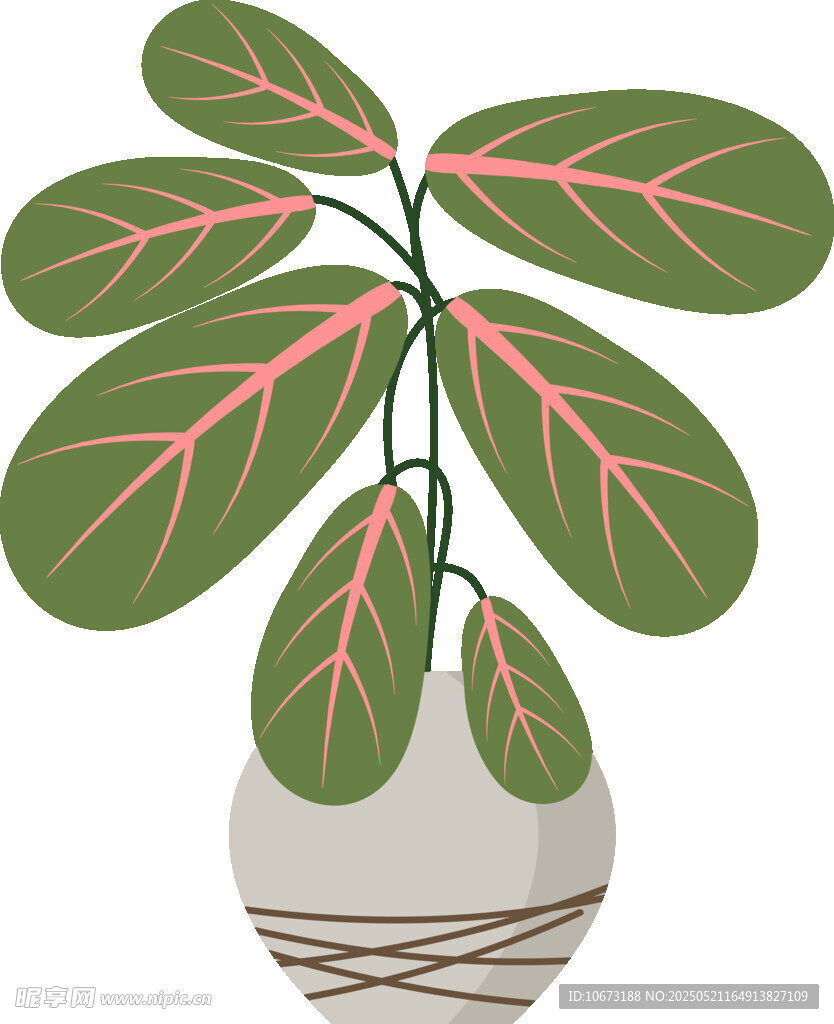盆栽绿植插画