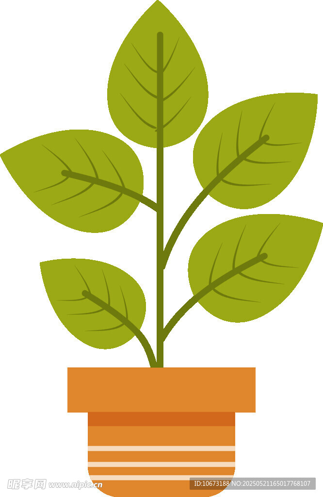 盆栽绿植插画