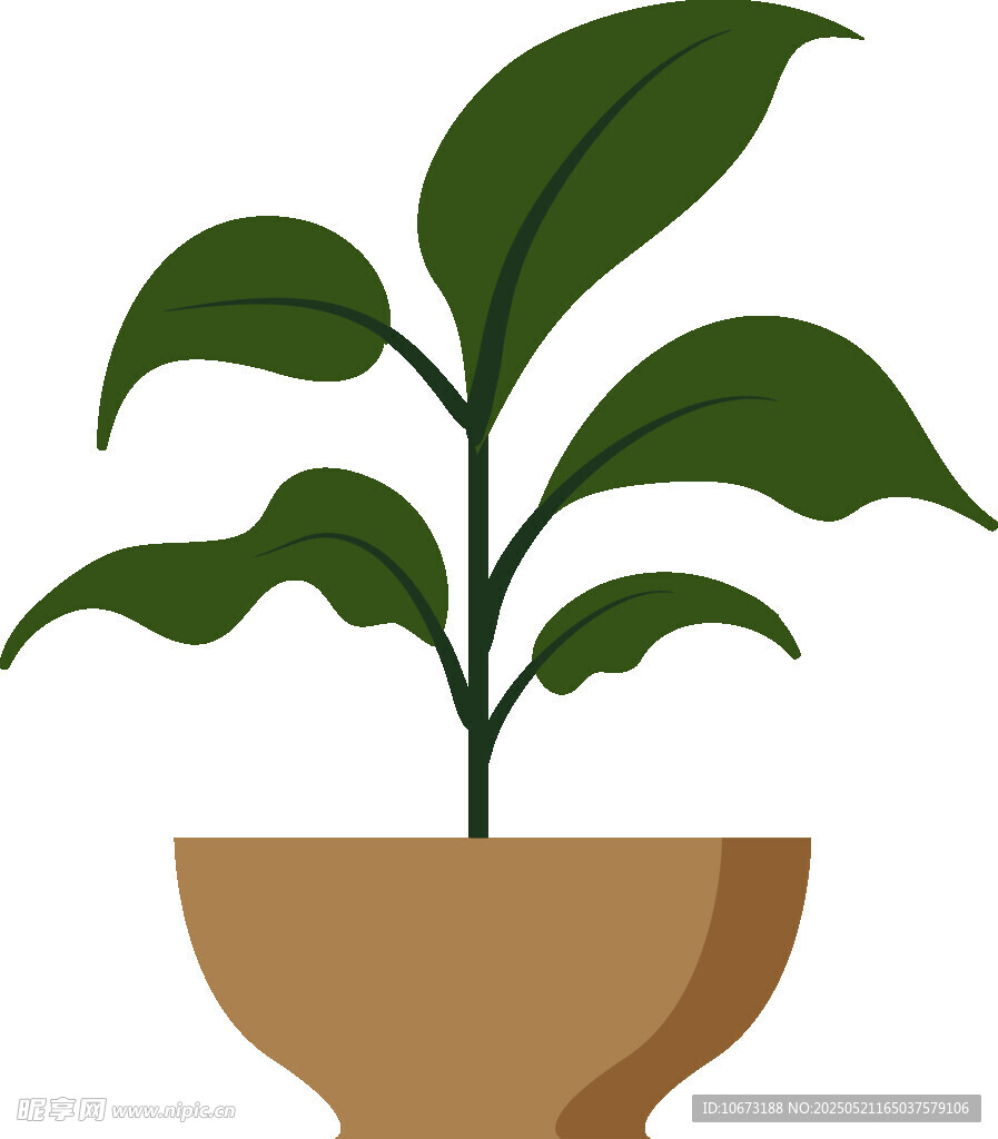 盆栽绿植插画