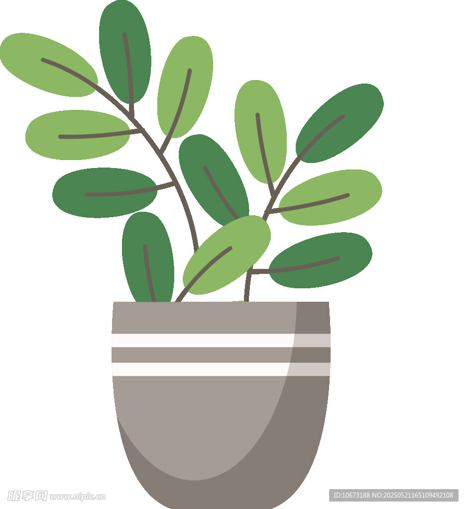 盆栽绿植插画