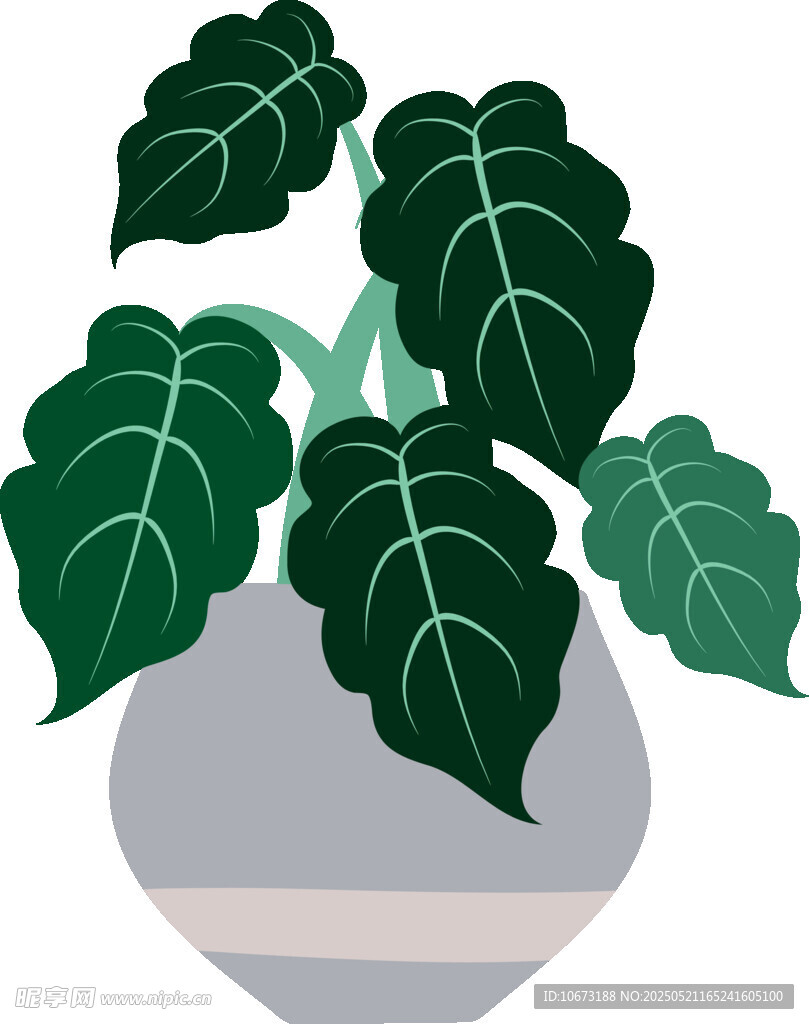 盆栽绿植插画