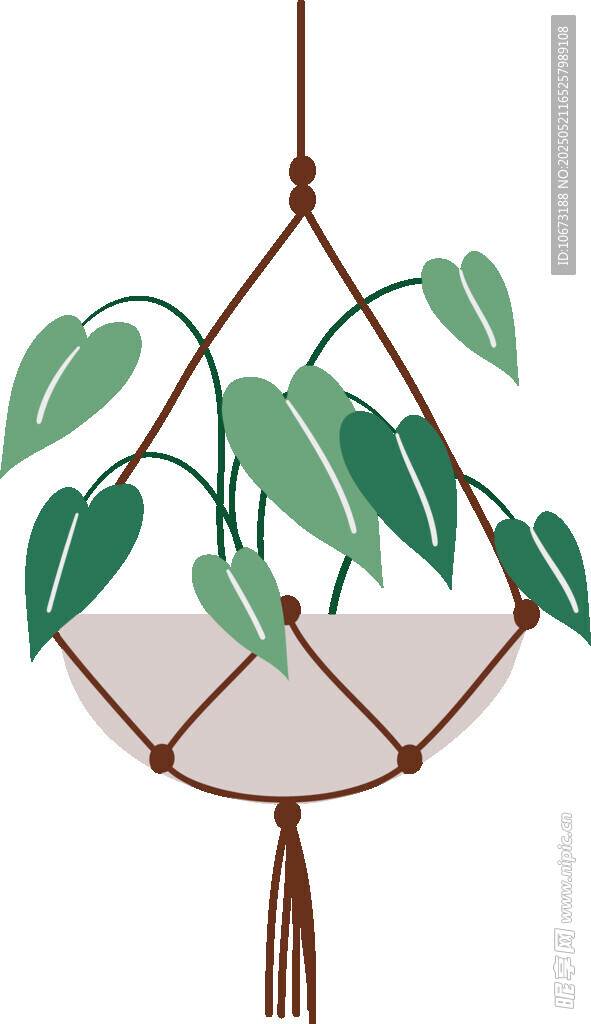 悬挂绿植装饰
