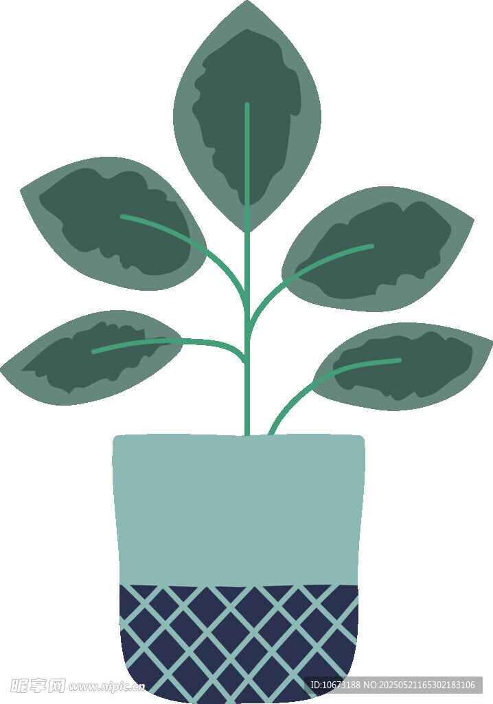 盆栽绿植插画