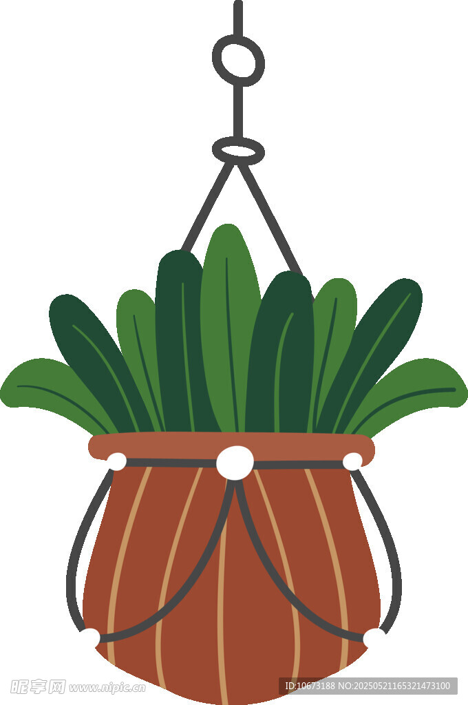 悬挂绿植盆栽
