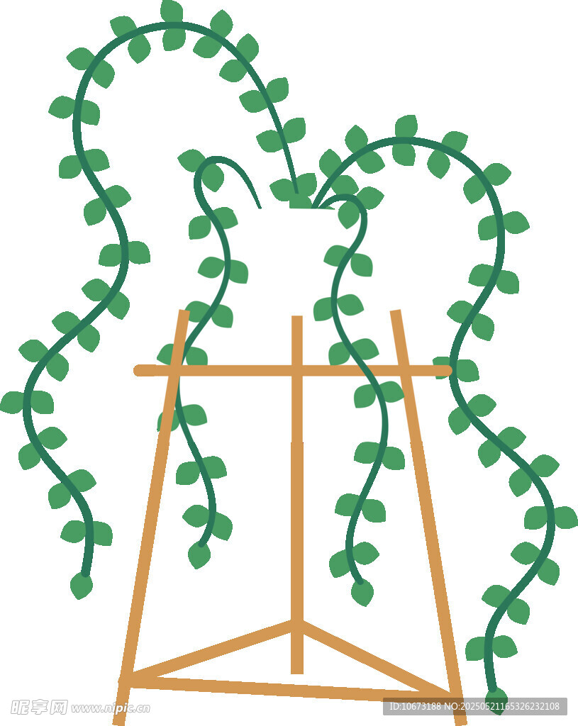 藤蔓攀爬在木质支架上