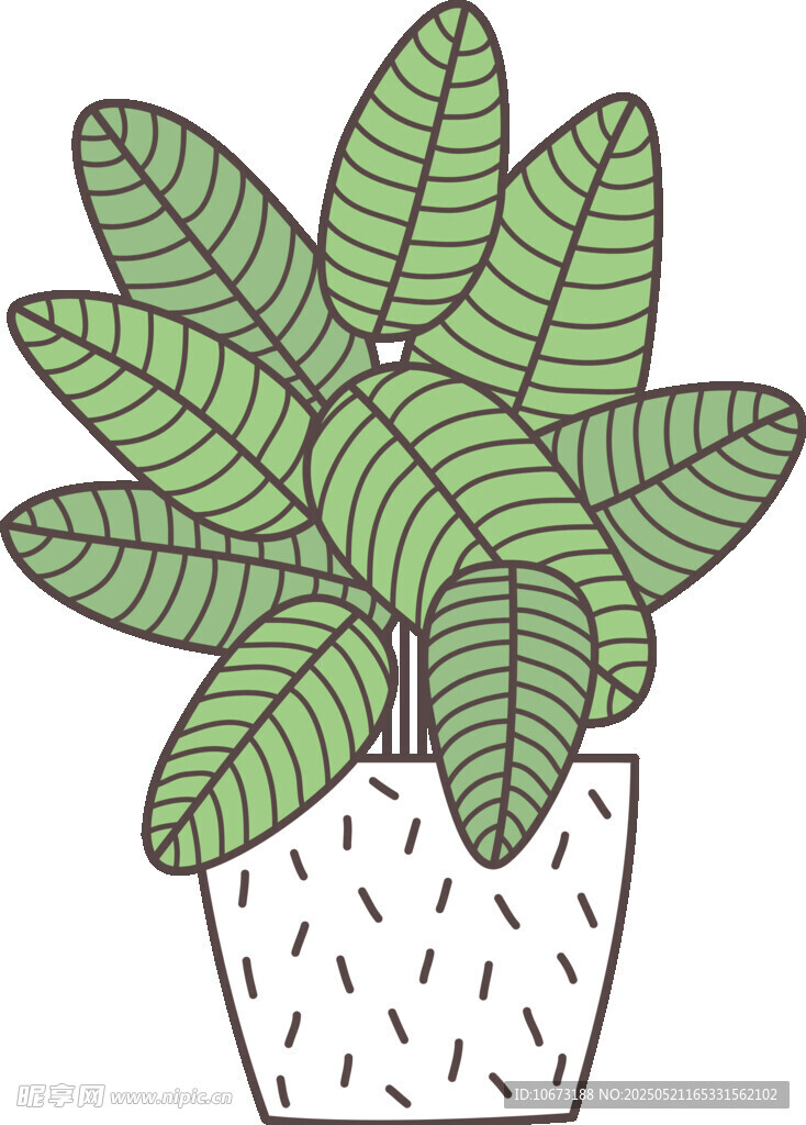 盆栽绿植插画