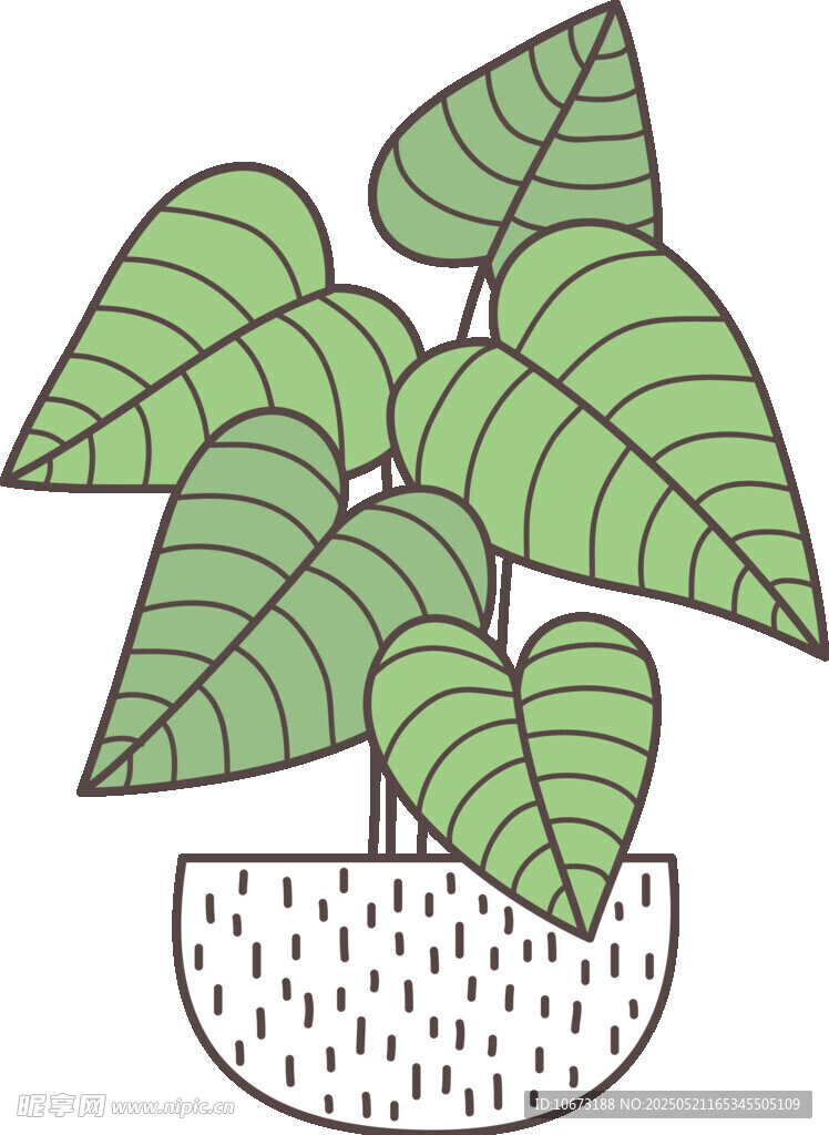 盆栽绿植插画