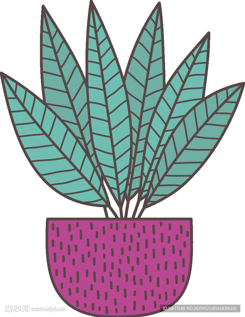 紫色花盆中的绿叶植物