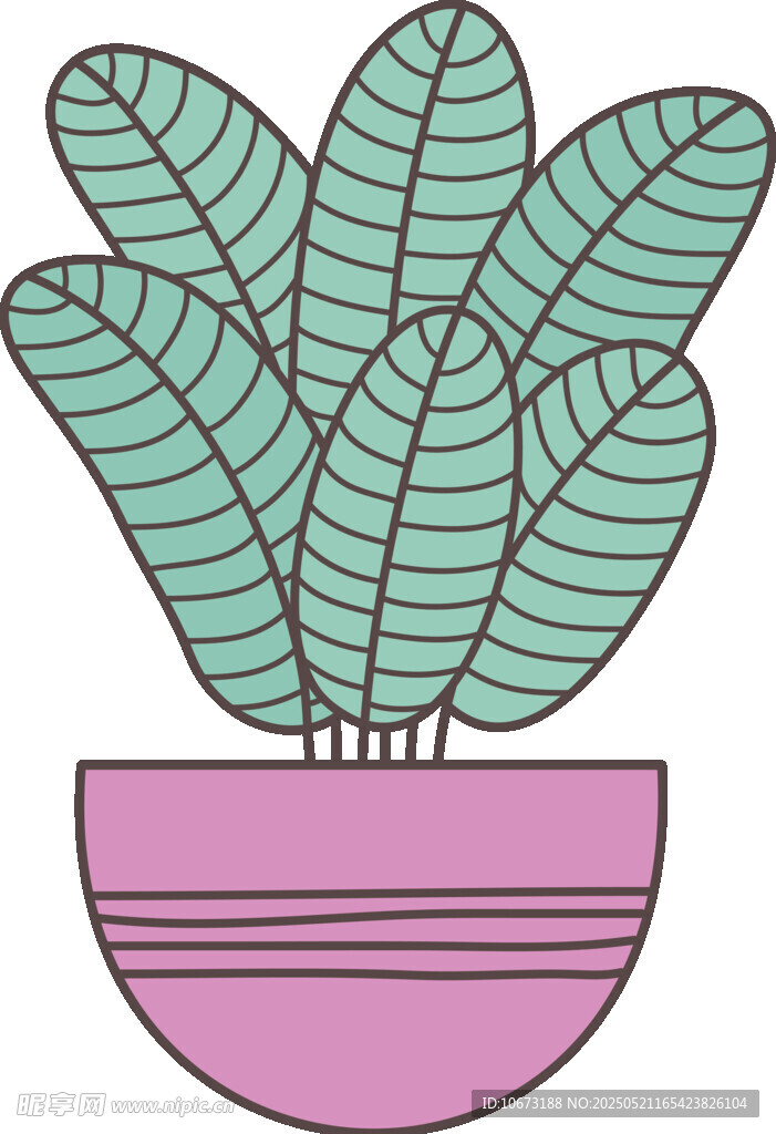 盆栽绿植插画