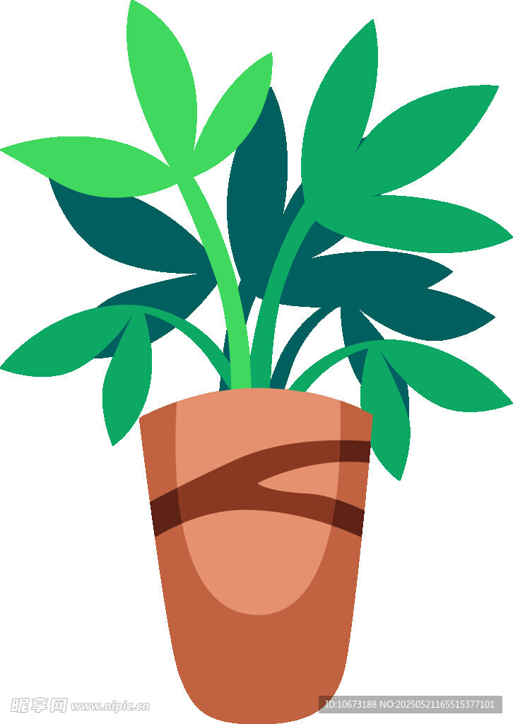 盆栽绿植插画
