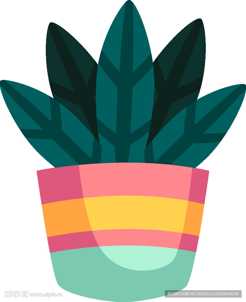 彩色花盆中的绿植