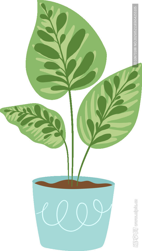 盆栽绿植 清新可爱小植物