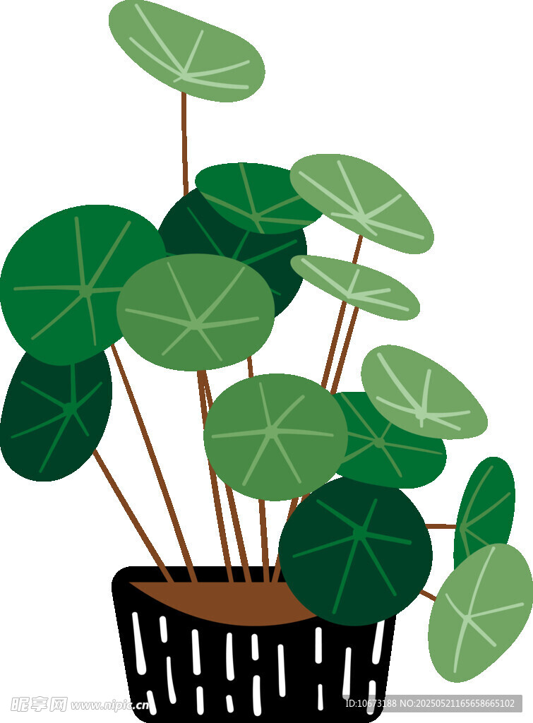盆栽绿植插画