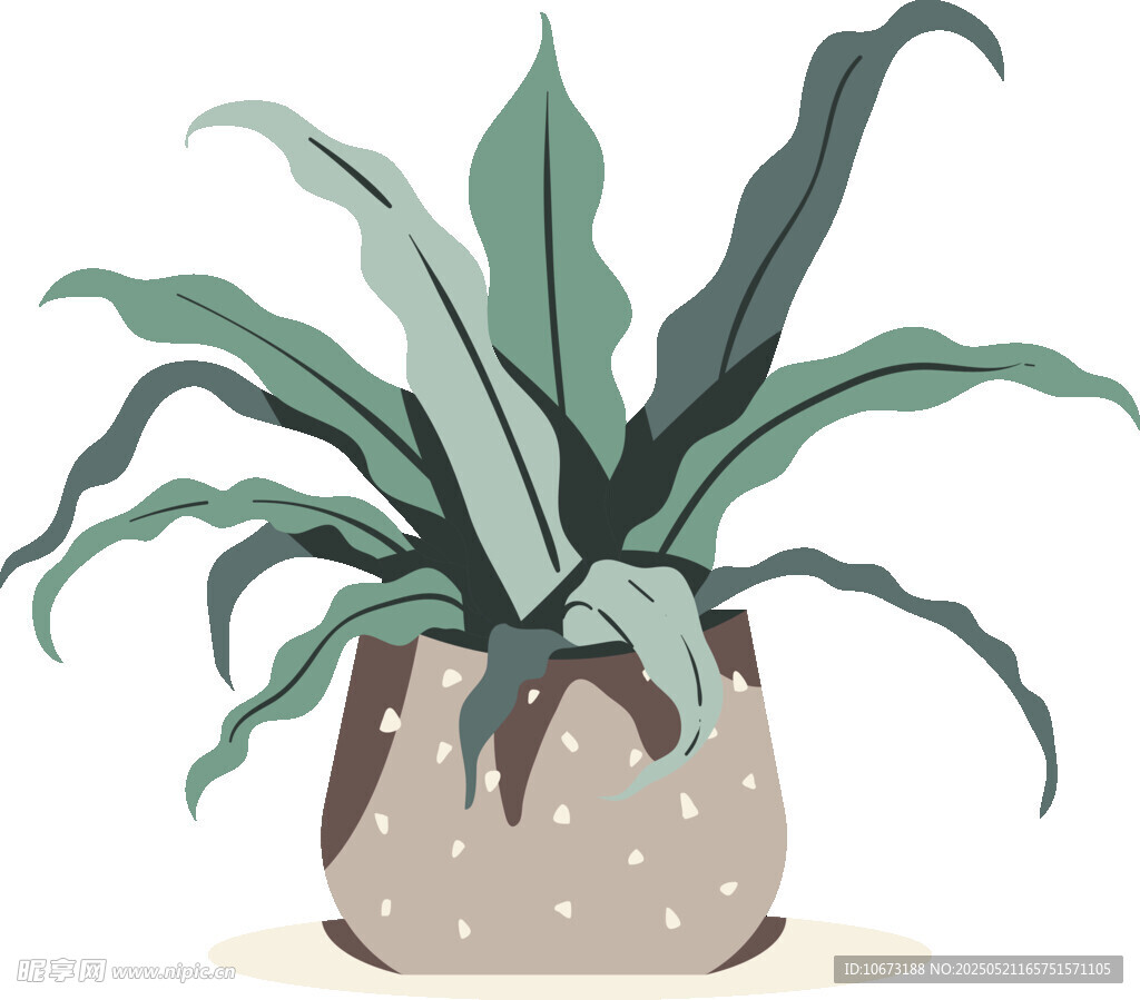 盆栽绿植插画