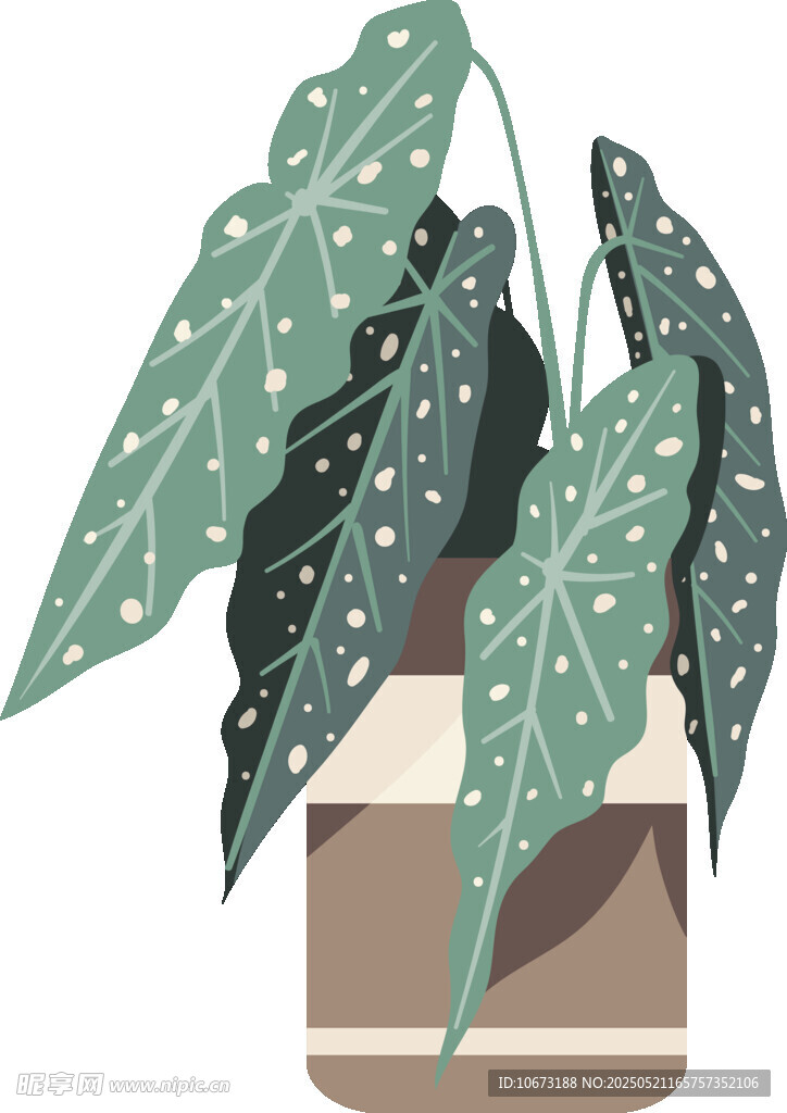 盆栽绿植插画