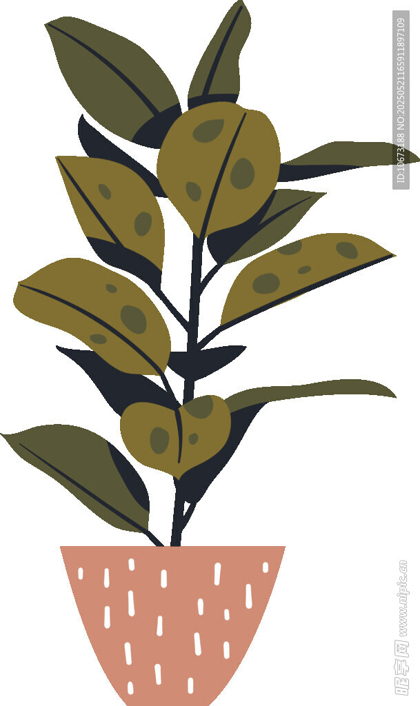 简约盆栽插画