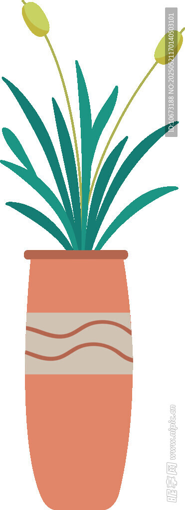 陶盆中的绿植花卉