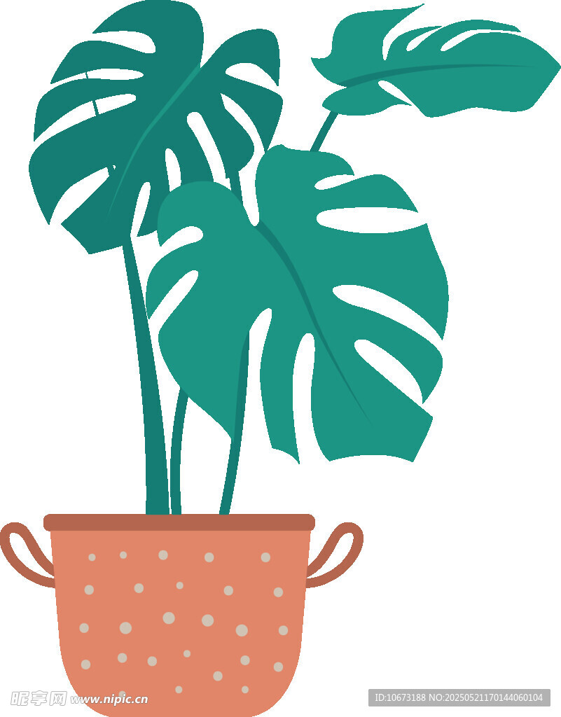 盆栽龟背竹 清新绿植插画