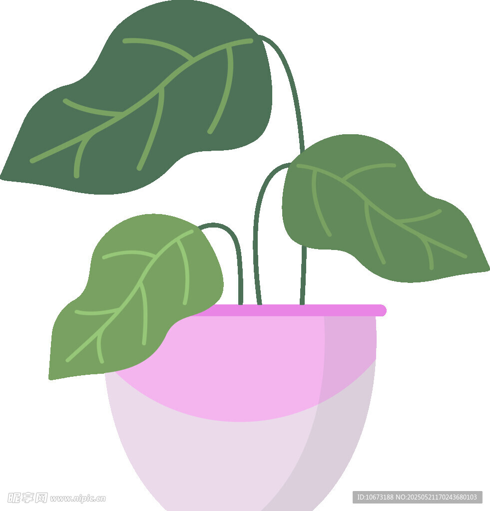 粉色花盆中的绿叶植物