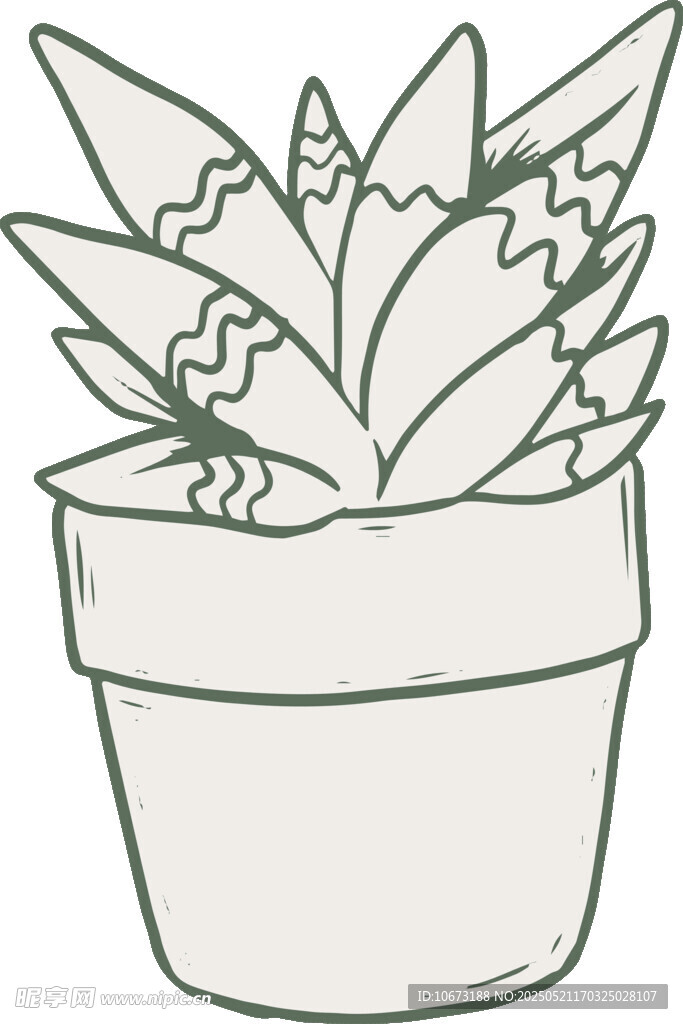 手绘盆栽多肉植物简笔画