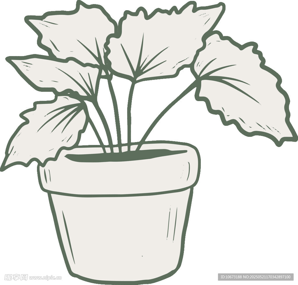 盆栽植物简笔画