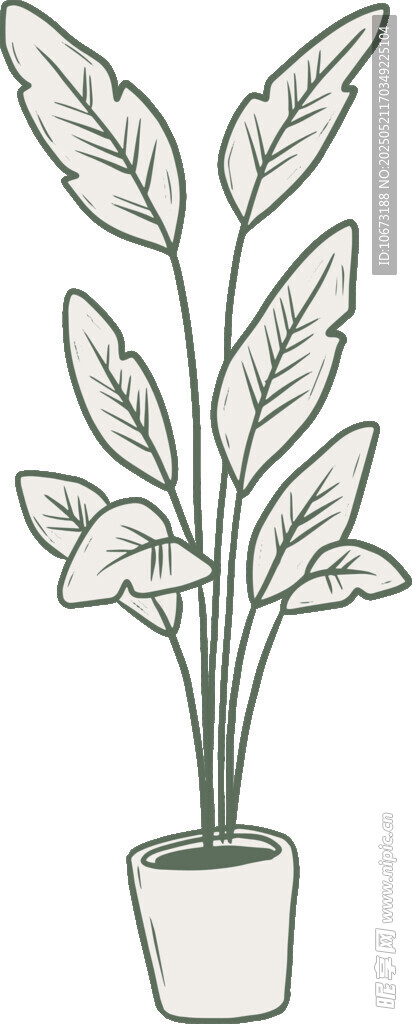 简约线条盆栽白掌插画