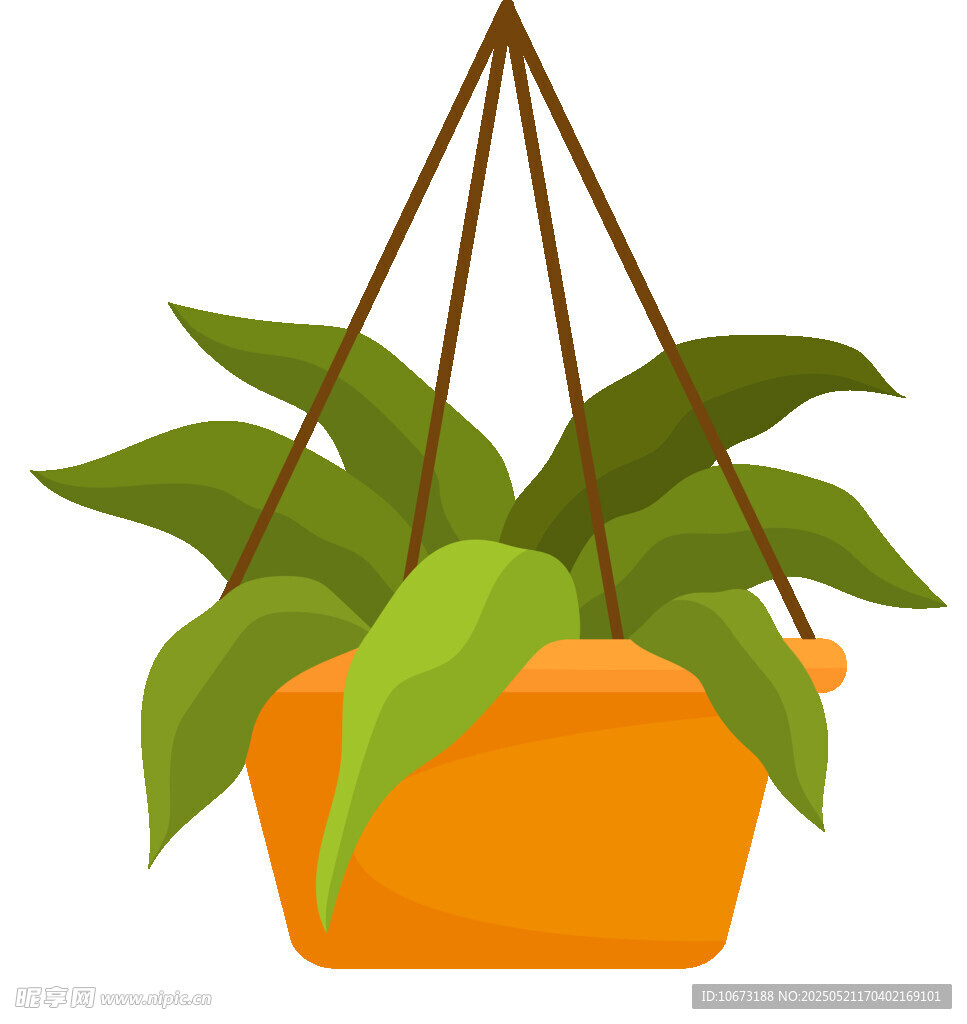 悬挂绿植盆栽