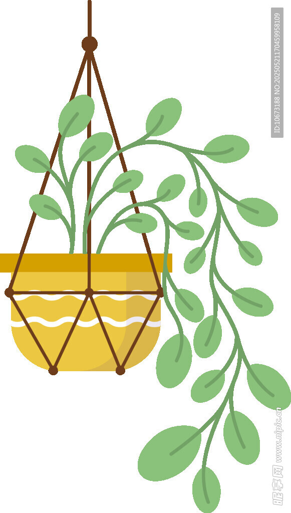 悬挂绿植盆栽