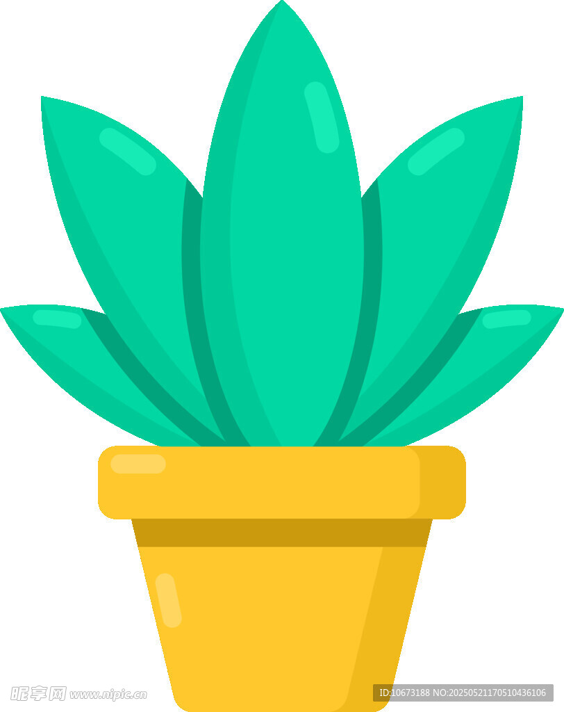 黄色花盆中的绿色植物