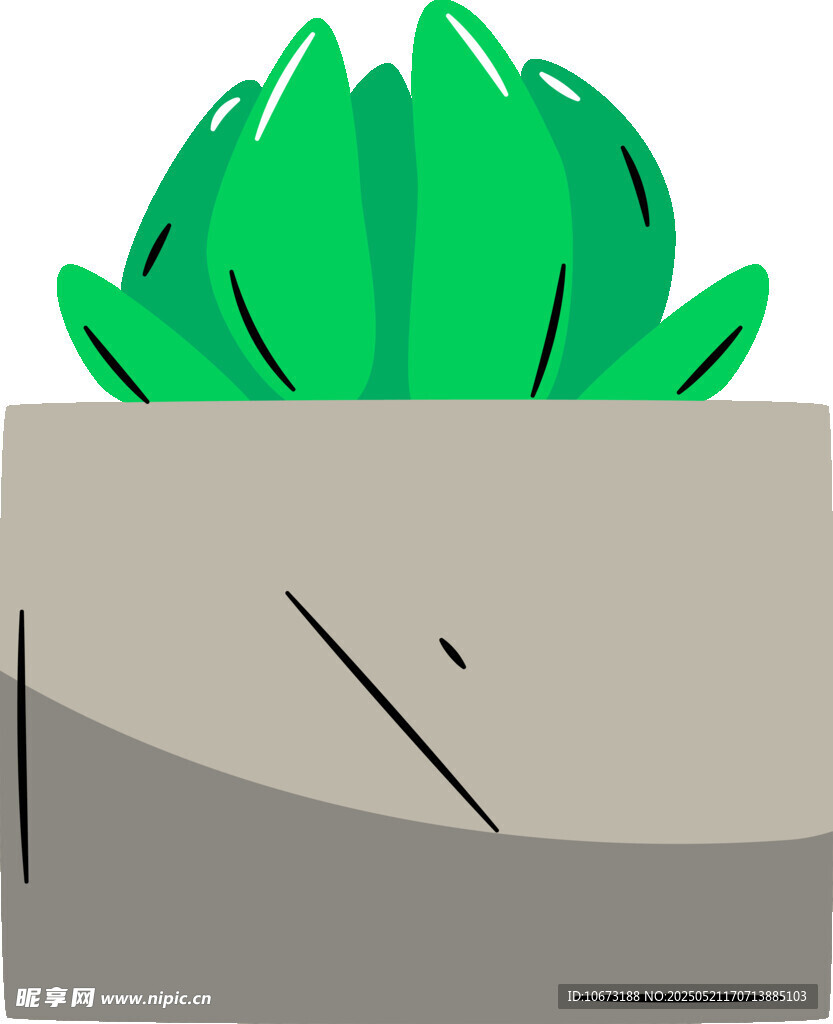 盆栽绿植插画
