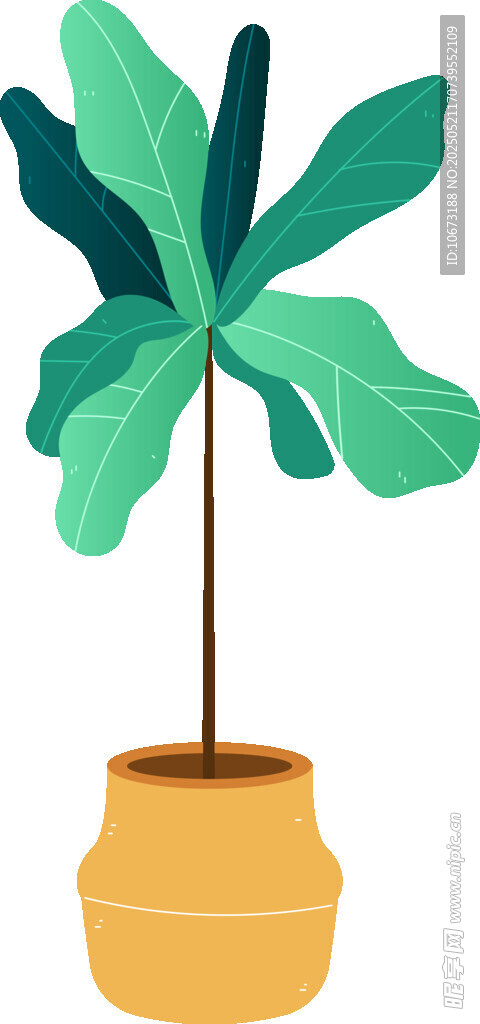黄盆中茂盛的绿色植物