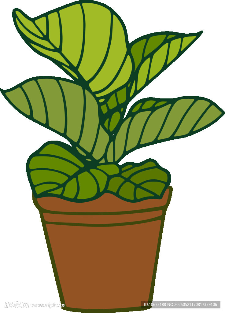 盆栽绿植插画