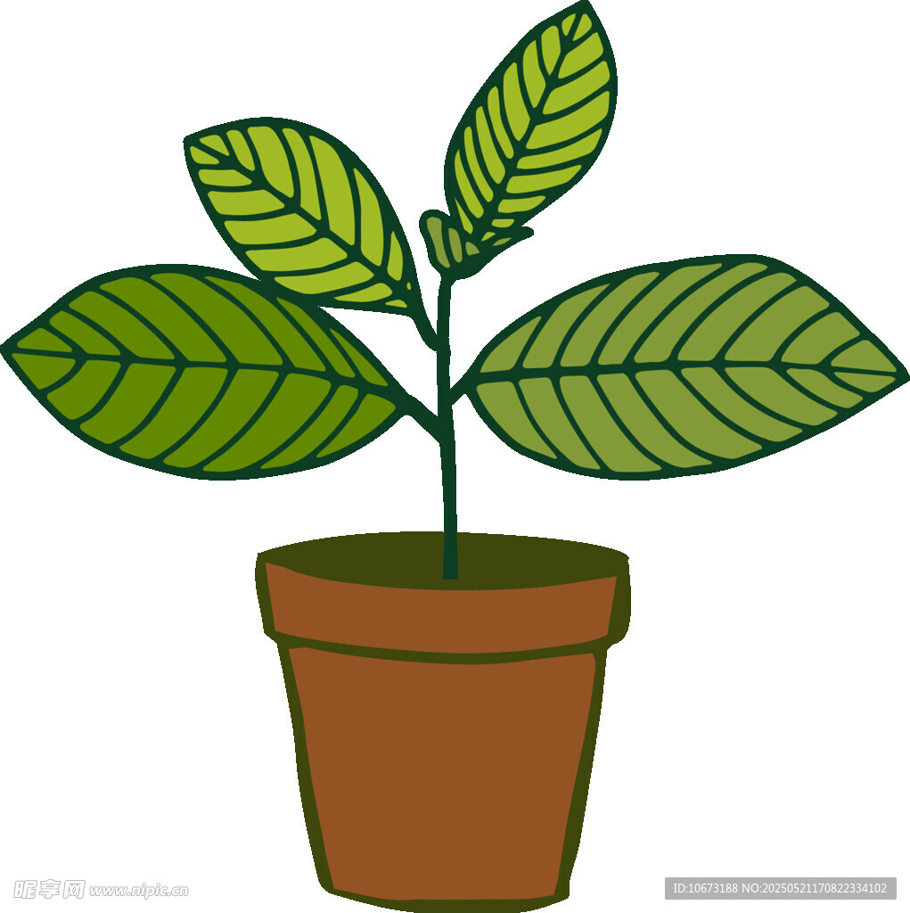 盆栽绿植插画