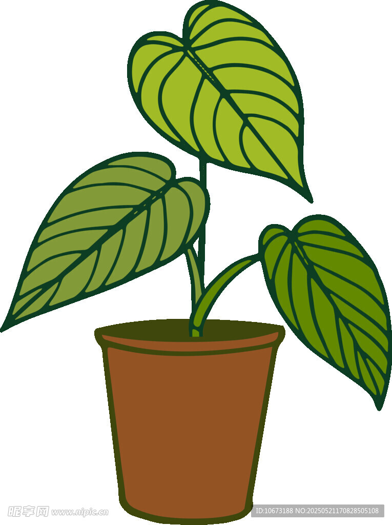盆栽绿植插画