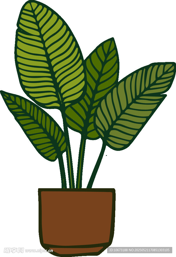 盆栽绿植插画