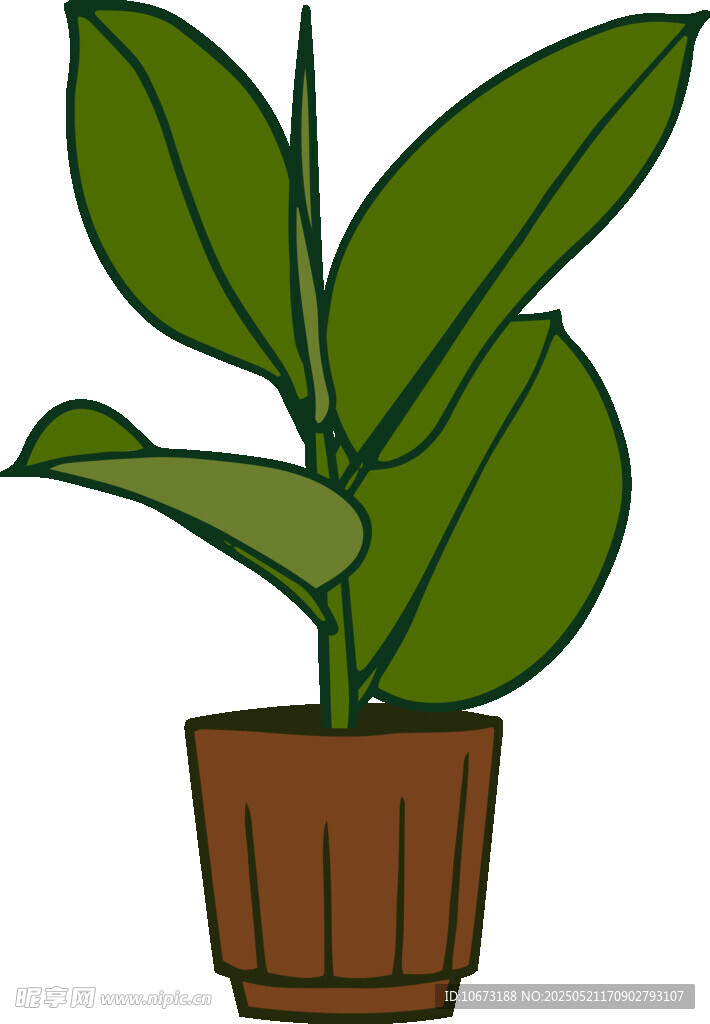 盆栽绿植 清新室内小植物