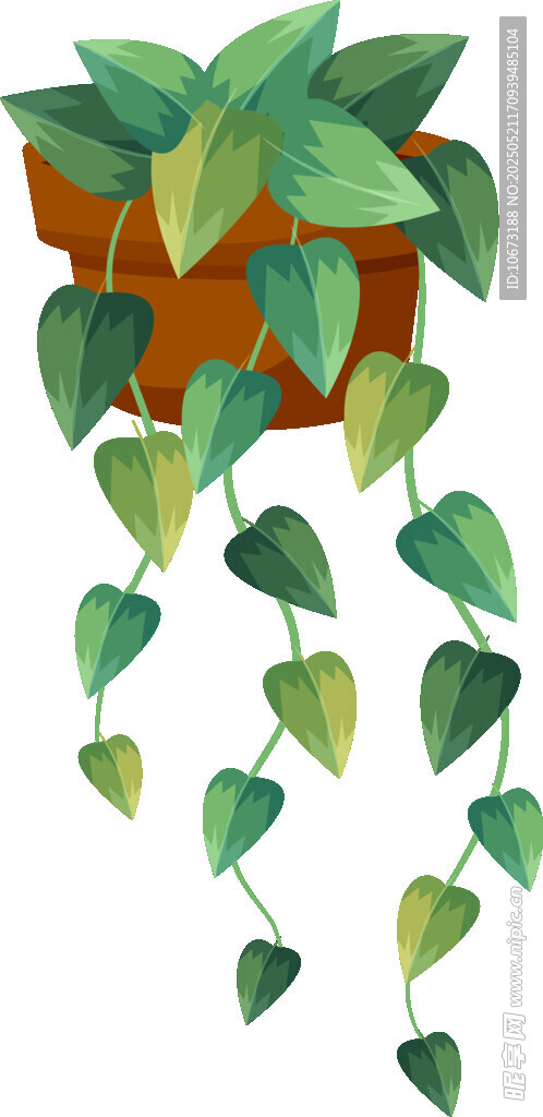 悬挂绿植盆栽插画