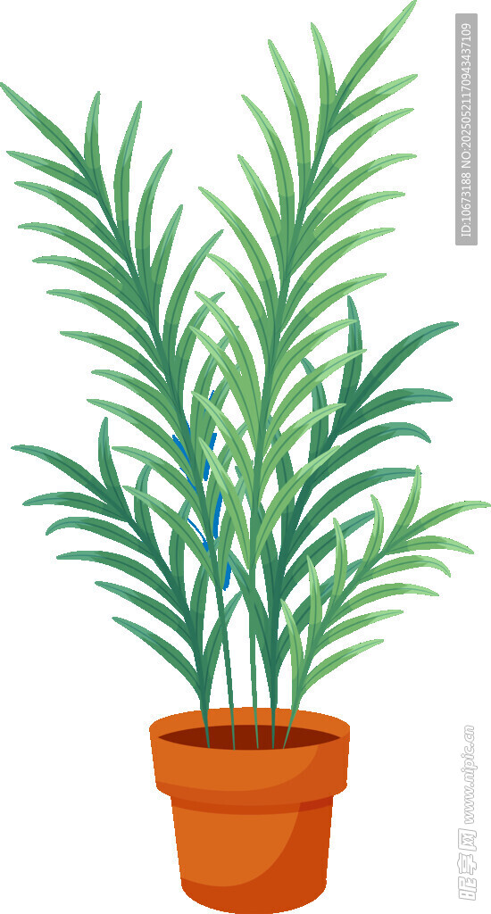 盆栽绿植 清新室内小植物