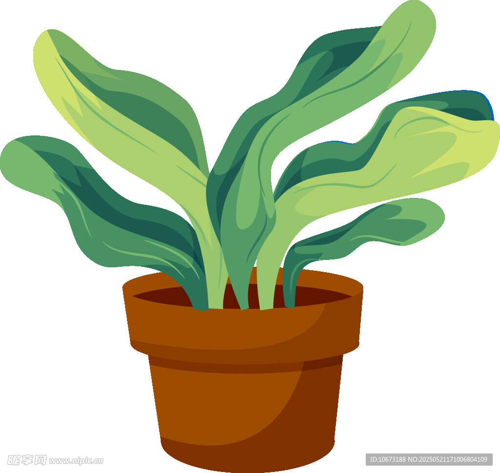 盆栽绿植插画