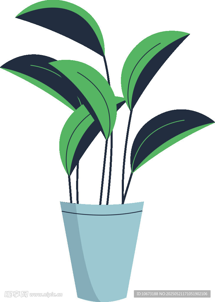 盆栽绿植插画