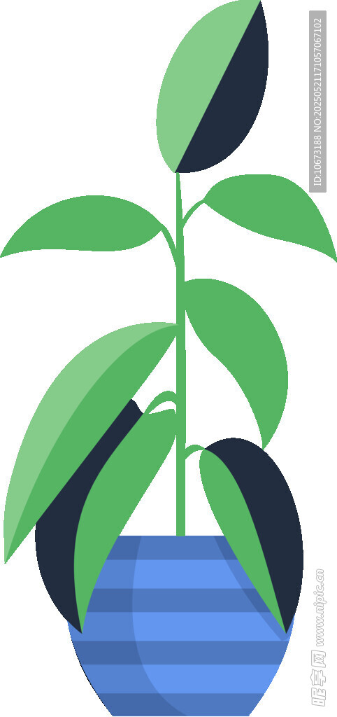 盆栽绿植 清新室内小植物