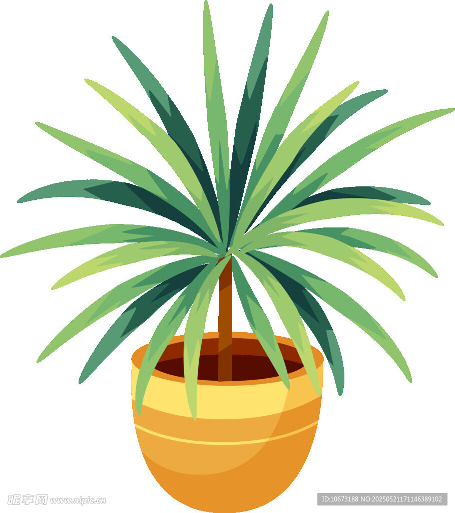 盆栽绿植 清新装饰小植物