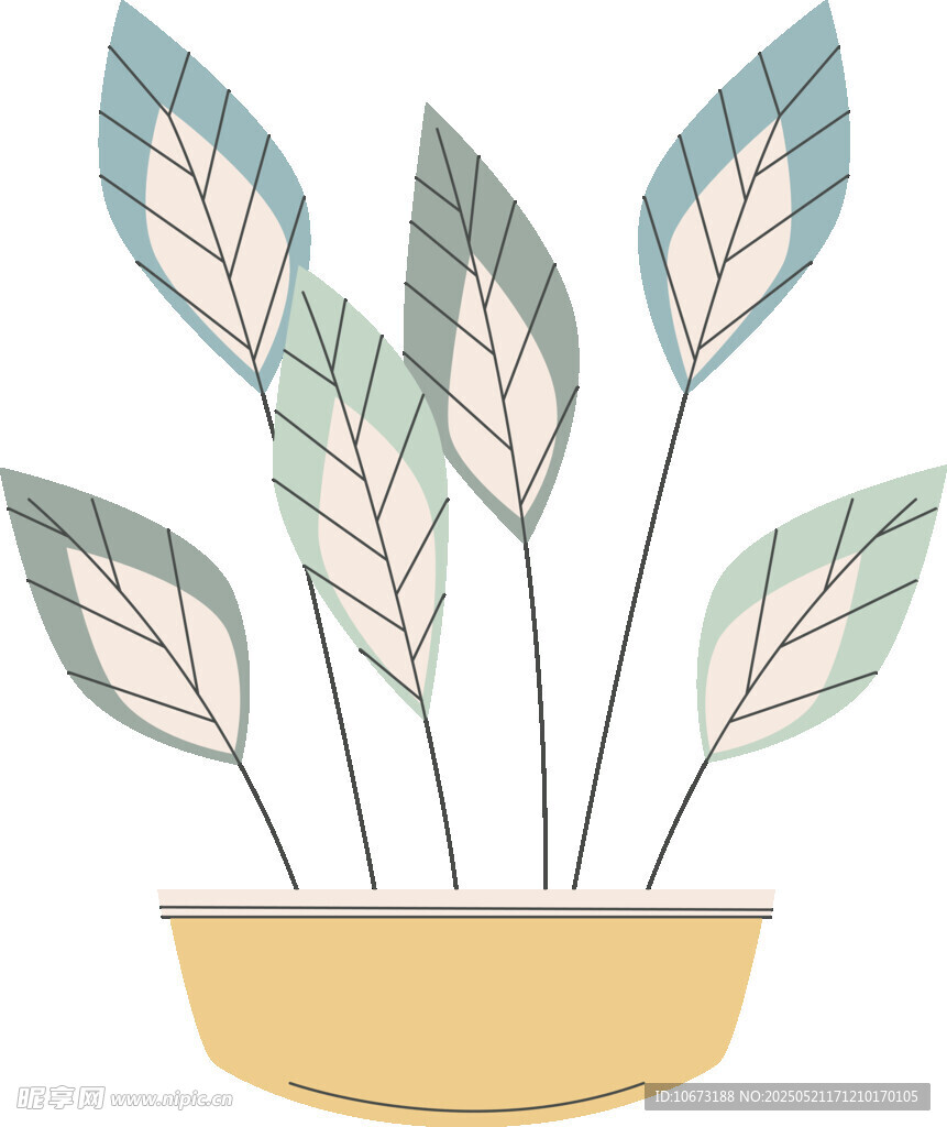 盆栽绿植插画