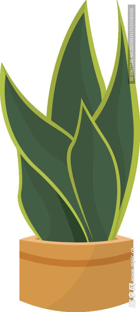 盆栽绿植 清新室内小植物