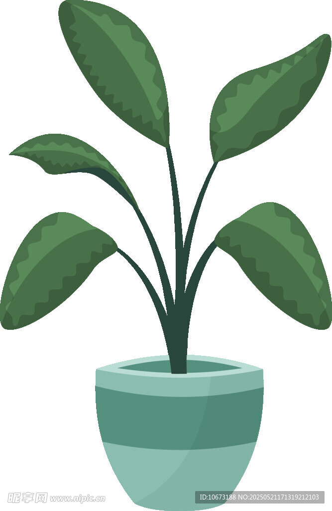盆栽绿植插画