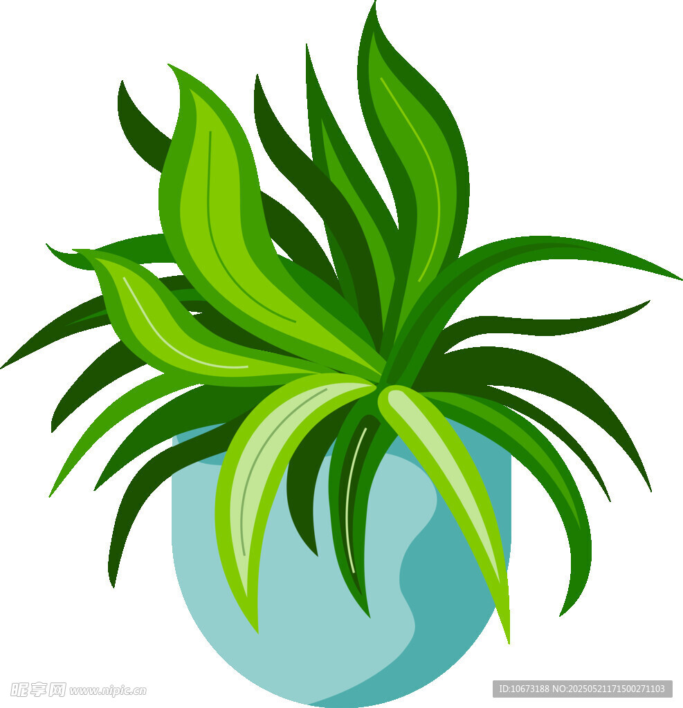盆栽绿植插画