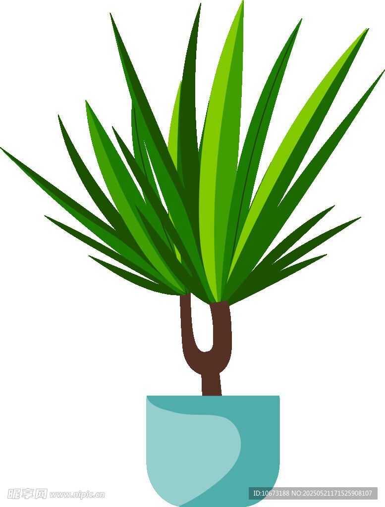 盆栽绿植 清新室内小植物