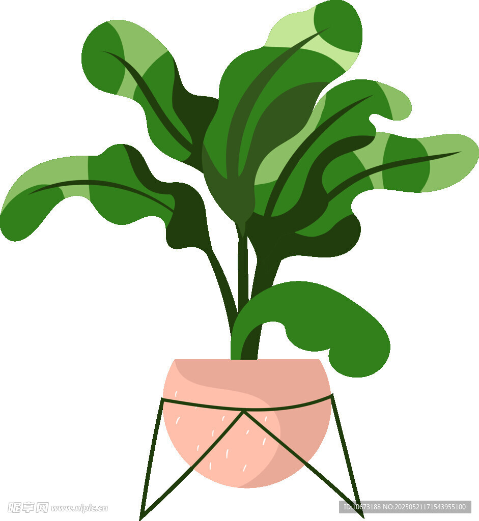 简约风盆栽植物插画