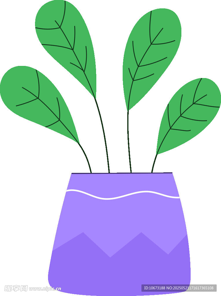 紫色花盆中的绿叶植物